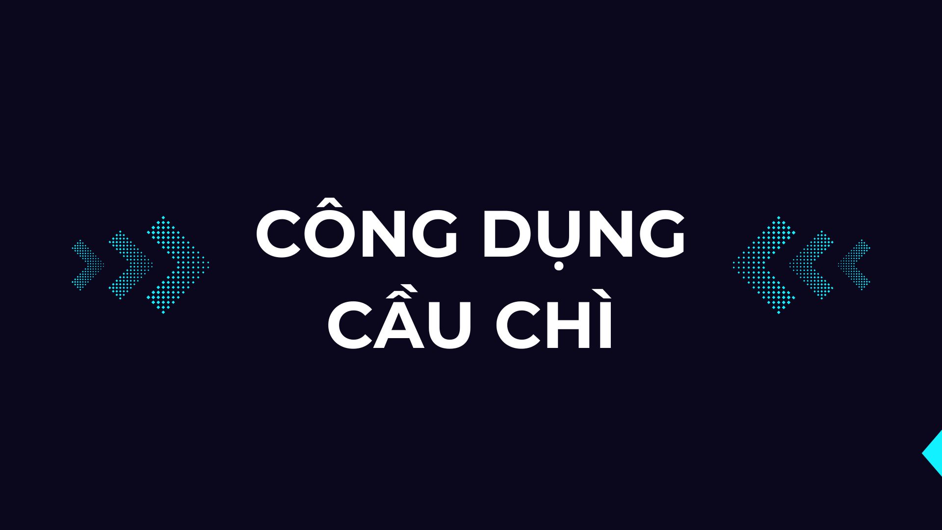 Công Dụng Của Cầu Chì Và Lý Do Không Thể Thiếu Trong Hệ Thống Điện